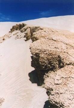 Te Paki Reserve.
