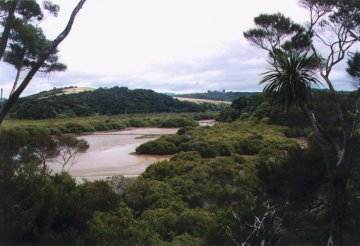 View on Hutia Creek and its mangrove forest.