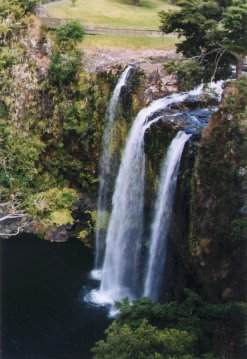 The 26m-high Whangarei Falls.