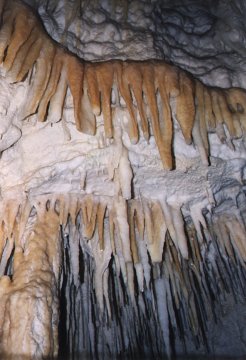 Stalactites hanging from the ceiling inside Aranui Cave.