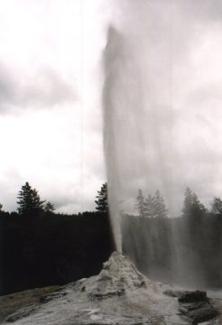 Lady Knox Geyser