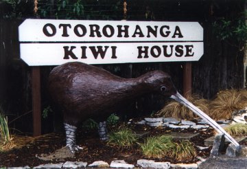 The Kiwi House at Otorohanga.